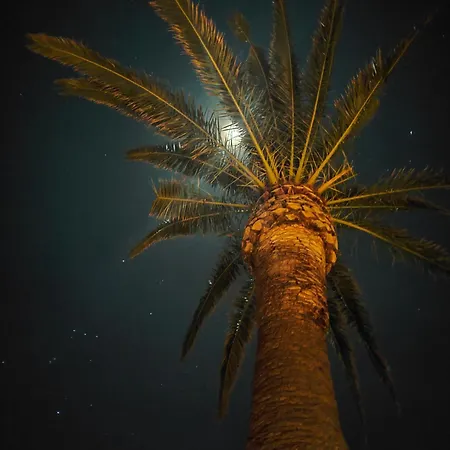 Apartment A Pramousquier Le Lavandou