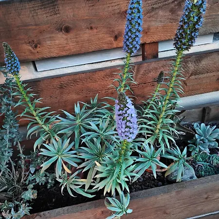 A Pramousquier 아파트 *