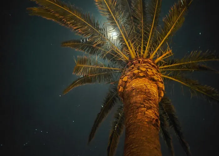 Διαμέρισμα A Pramousquier Le Lavandou