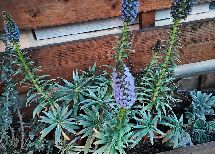 A Pramousquier Lägenhet *